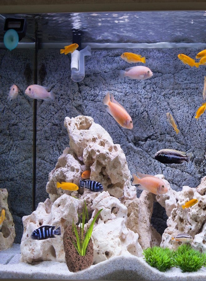 Yardwe Aquarium Rocks Volcanic Rocks 6Pcs Decorative Rocks Fish Tank Aquarium Landscape Ornaments (Random Color) - Image 5