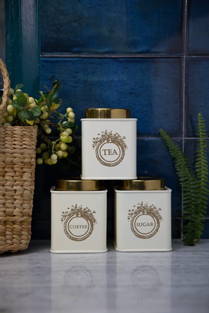 Elan Dreamer Tea, Sugar & Coffee Air-Tight Canister, Stainless Steel, Set of -3, 650ml Each (Off-White) - Image 5