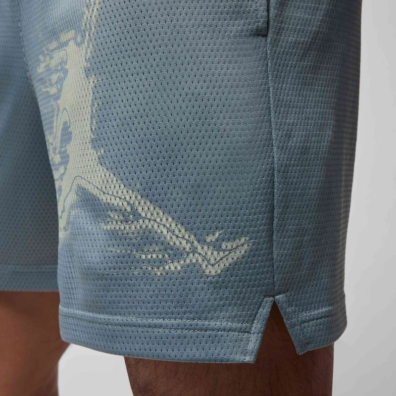Jordan Men's Dri-FIT Sport Basketball Shorts