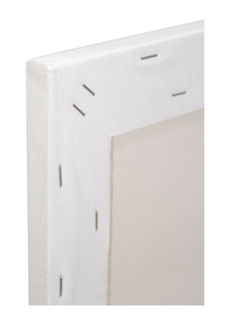 Mont Marte Single Thick Canvas Premium 40.6 x 50.8cm (16 x 20in)  - Image 2