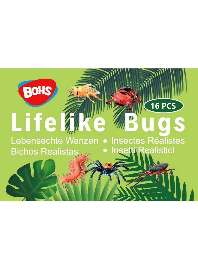 BOHS Bug Play Figures Realistic Insect Toys For Educational Projects 16 Pcs 23 Inch In Length Perfect Party Favors Birthday Cake Stand - Image 4