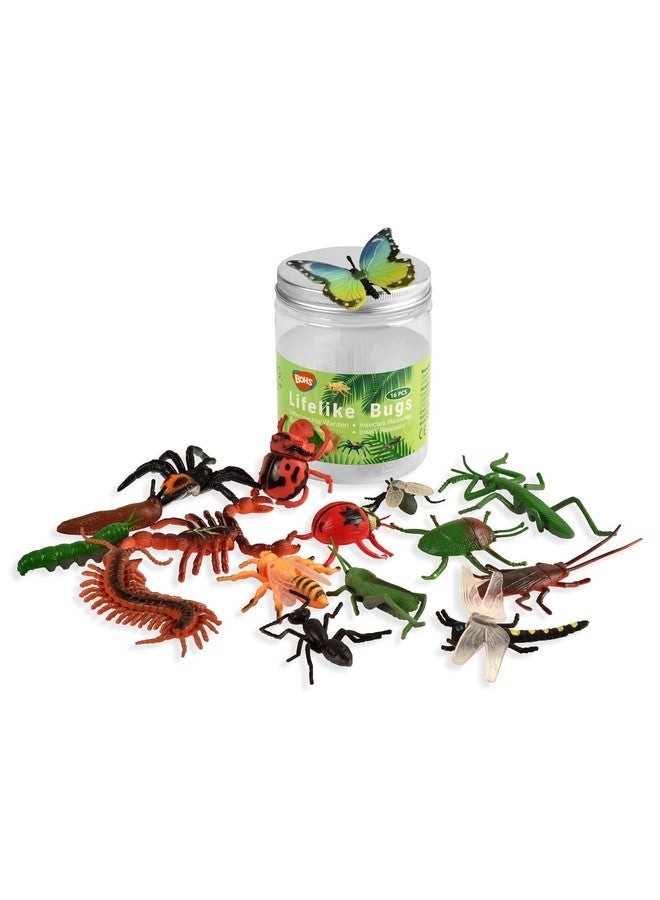 BOHS Bug Play Figures Realistic Insect Toys For Educational Projects 16 Pcs 23 Inch In Length Perfect Party Favors Birthday Cake Stand - Image 2