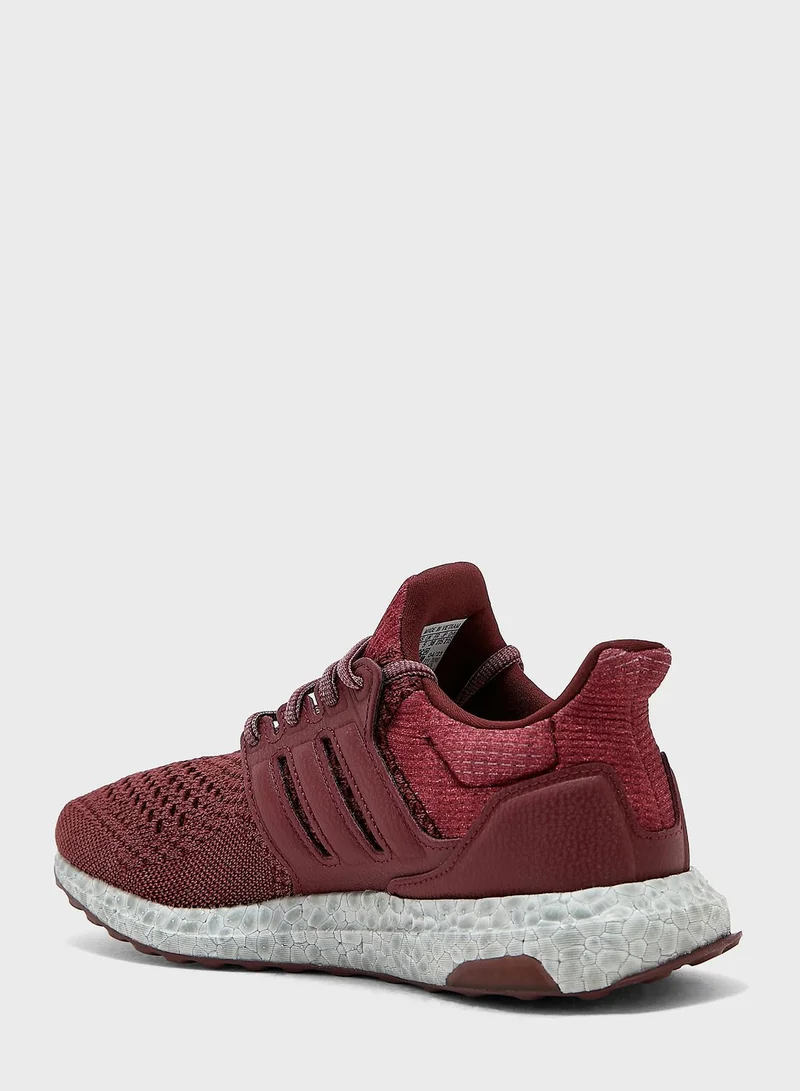 Adidas Ultraboost 1.0 Shoes