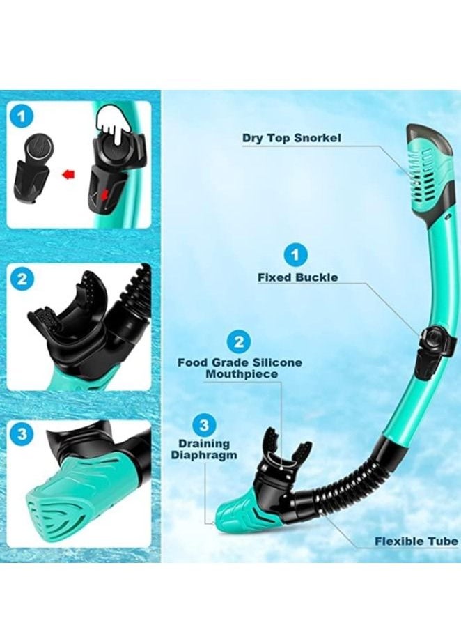 Cool Baby Style - Mask Fin Snorkel Set with Adult Snorkeling Gear, Panoramic View Diving Mask, Trek Fin, Dry Top +Travel Bags, Package for Lap Swimming BLACK GREEN - Image 1