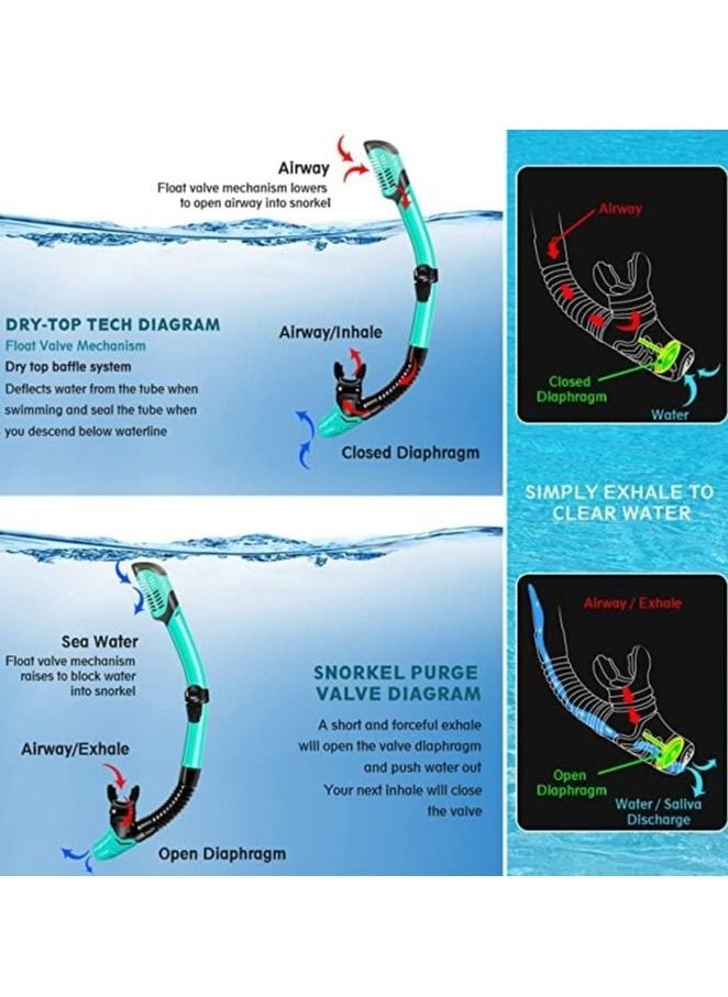 Cool Baby Style - Mask Fin Snorkel Set with Adult Snorkeling Gear, Panoramic View Diving Mask, Trek Fin, Dry Top +Travel Bags, Package for Lap Swimming BLACK GREEN - Image 1