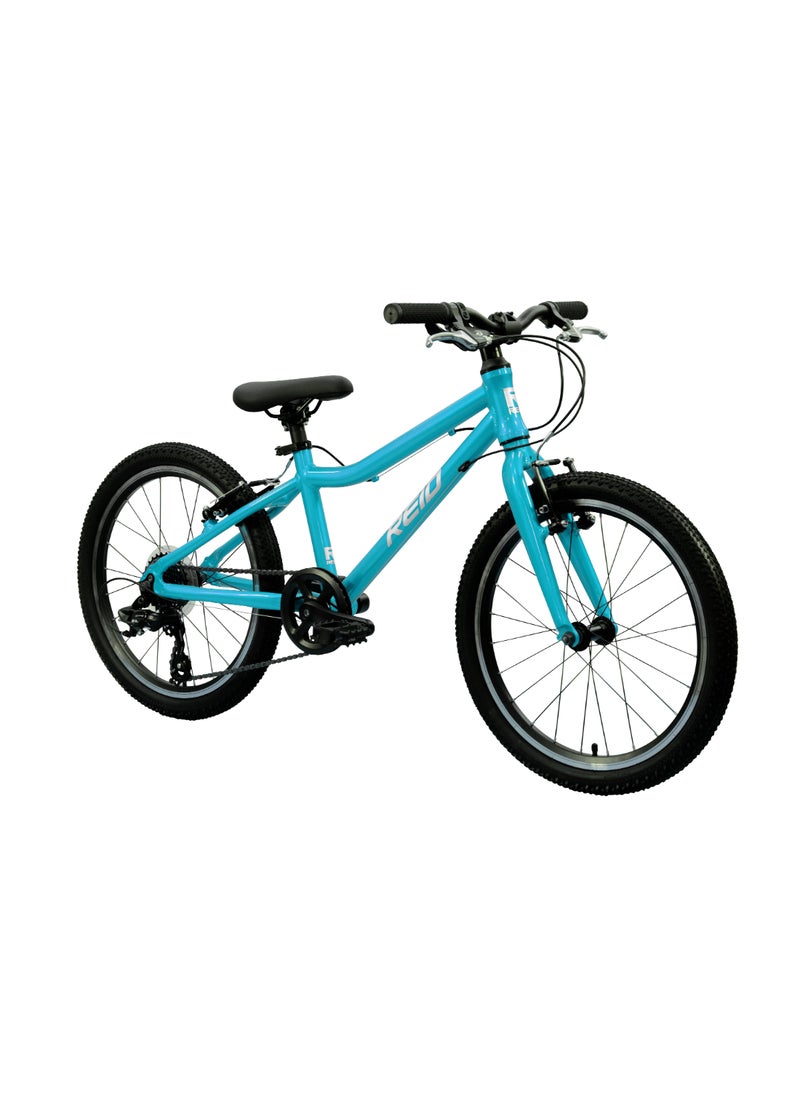 REID CYCLES REID CYCLES By Adventure HQ | VIPER 20"  - Image 2