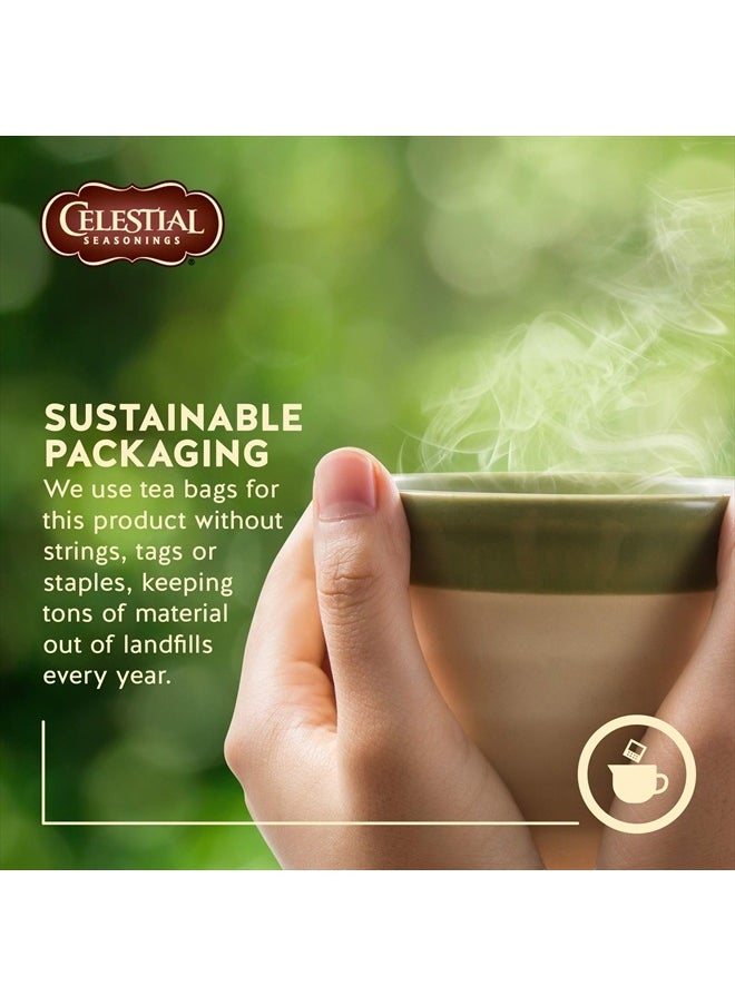 CELESTIAL SEASONINGS Sleepytime Herbal Caffeine Free Tea, 20 Count  - Image 4