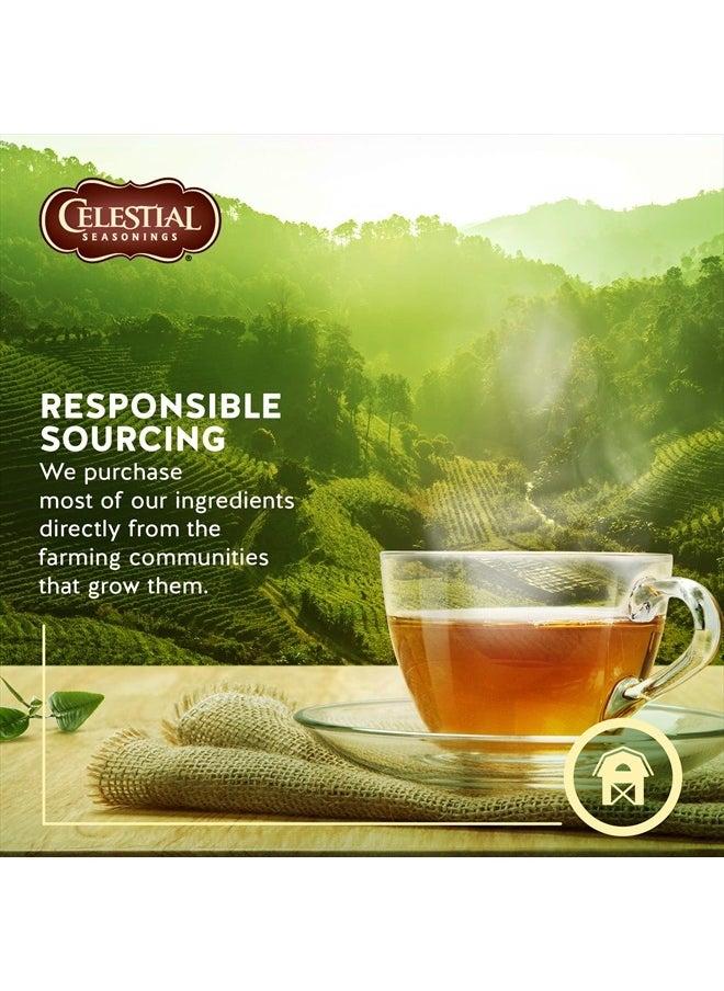 CELESTIAL SEASONINGS Sleepytime Herbal Caffeine Free Tea, 20 Count  - Image 2