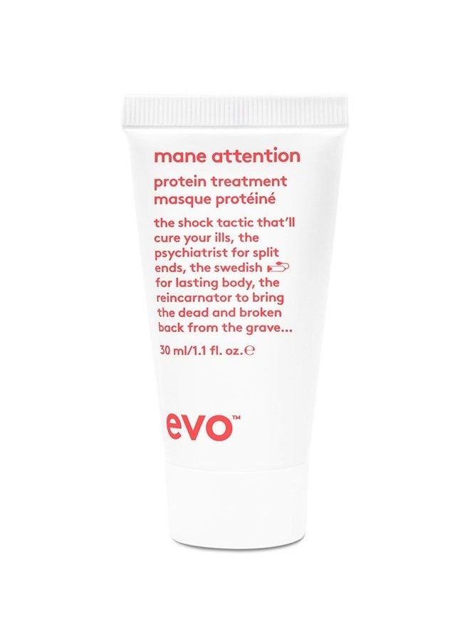 EVO evo Mane Attention Protein Hair Treatment - Moisturize, Repairs & Strengthens Hair - Travel Size, 30ml / 1.01fl.oz  - Image 1