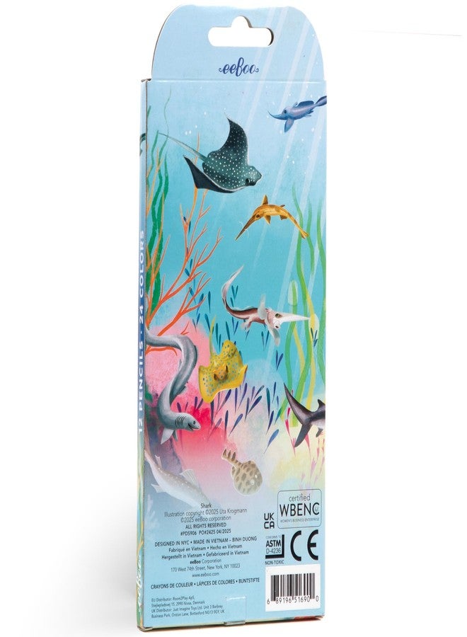 eeBoo Shark 12 Double Sided Colored Pencils, 24 Colors - Image 3