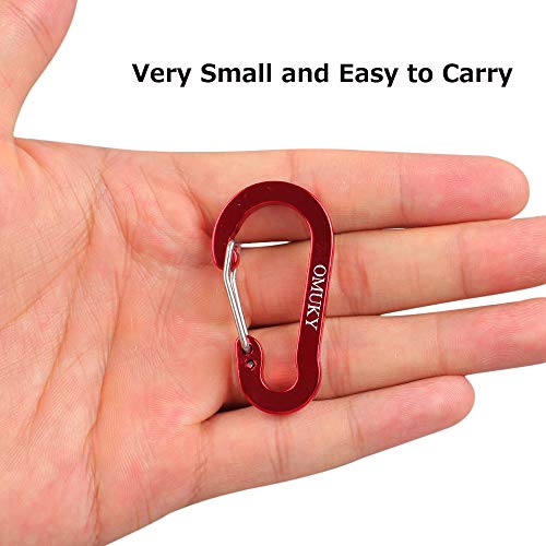 OMUKY Carabiner Small Clip Aluminum Alloy Strength D-Shape Keyring Hooks Carabiners Buckle for Outdoor Camping Backpack Hiking (Mixed 10pcs,Flat) - Image 5