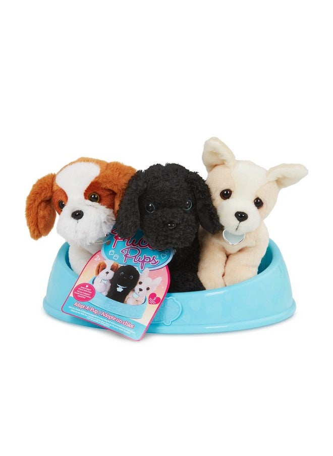 Pucci Pups - Adopt-A-Pup - Shih Tzu, Chihuahua, Poodle - Plush Toy Dogs With Dog Bed - Plush Dog For Kids Aged 2 And Up  - Image 2