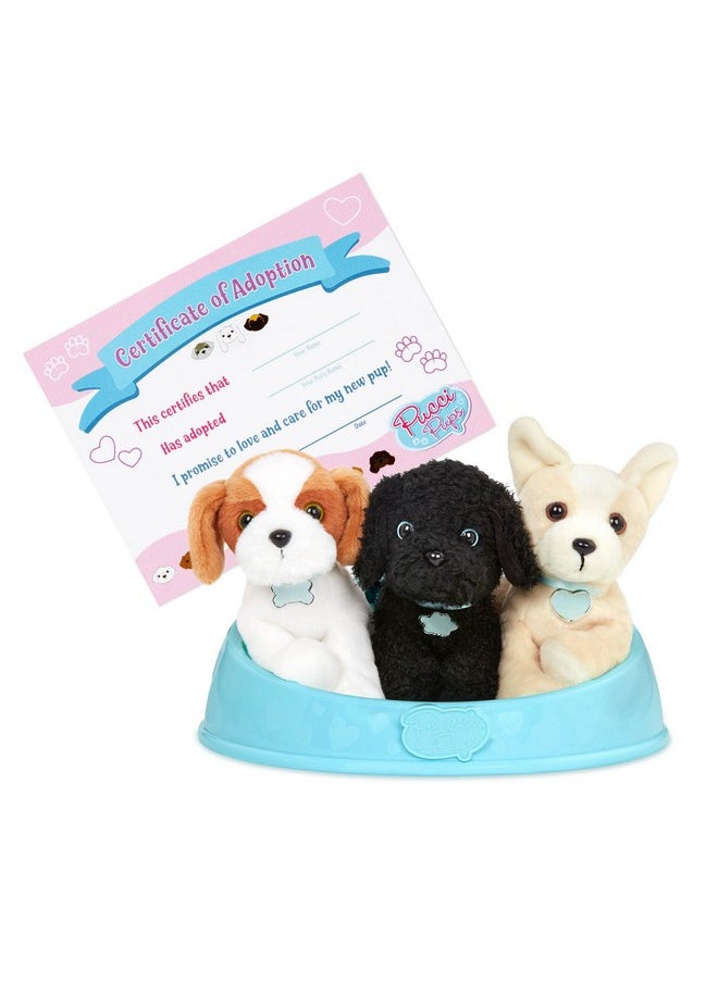 Pucci Pups - Adopt-A-Pup - Shih Tzu, Chihuahua, Poodle - Plush Toy Dogs With Dog Bed - Plush Dog For Kids Aged 2 And Up  - Image 1