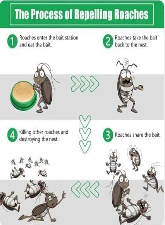 MANSPOT Natural Cockroach Killer for Kitchens, Bathrooms, and Cabinets, Eco-Friendly Home Remedy for Indoor Cockroach Control (Pack of 18) - Image 3