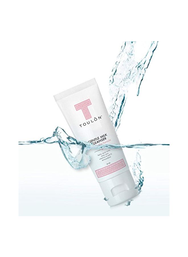 TOULON Gentle Milk Cleanser: Face Wash for Dry & Sensitive Skin; Mild Facial Cleanser with AHA, Lactic Acid, Aloe Vera & Antioxidants for Women - Image 2