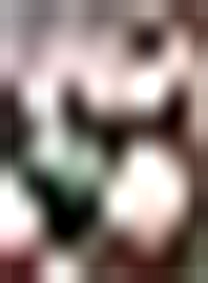 GGOOT 10pcs Gemengde Kleur Tulpenbollen Tuin Exotische Vaste Planten Containers Ideale Boeketten voor Visueel Plezier Mooi Decor Minder Moeilijkheidsgraad - Image 1