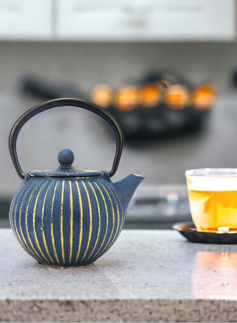 Tealand Durable Coated with Enamel Interior Cast Iron Teapot with Stainless Steel Infuser for Brewing Loose Tea Leaf 0.5 Liter Blue  - Image 5