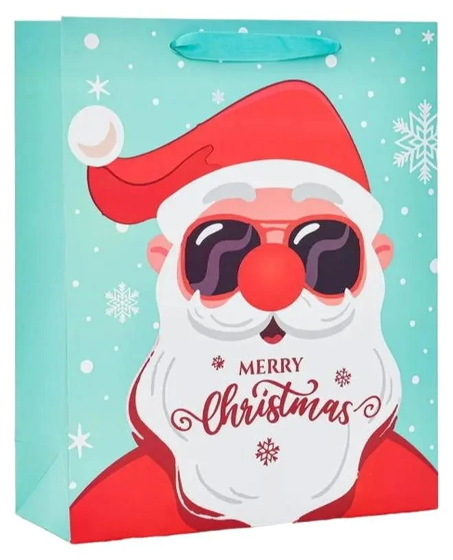 Share The Love Cool Santa Printed Gift Bag – Festive Christmas Paper Bag with Handles, Premium Quality Holiday Present Bag for Gifts & Seasonal Celebrations