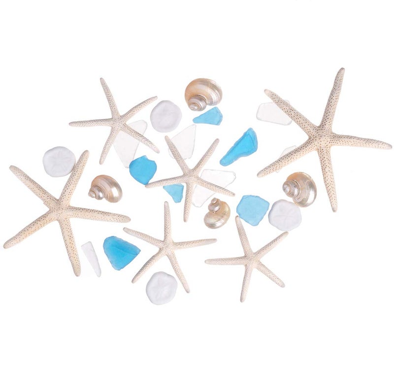 Nautical Crush Trading Sea Shells - White Real Mixed Beach Seashells (25 Pieces) with Starfish & Sea Glass - Shells for Crafts - Ocean Decor - Beach Party Decorations - Seashell Decor - Large Shells Crafts - Image 1