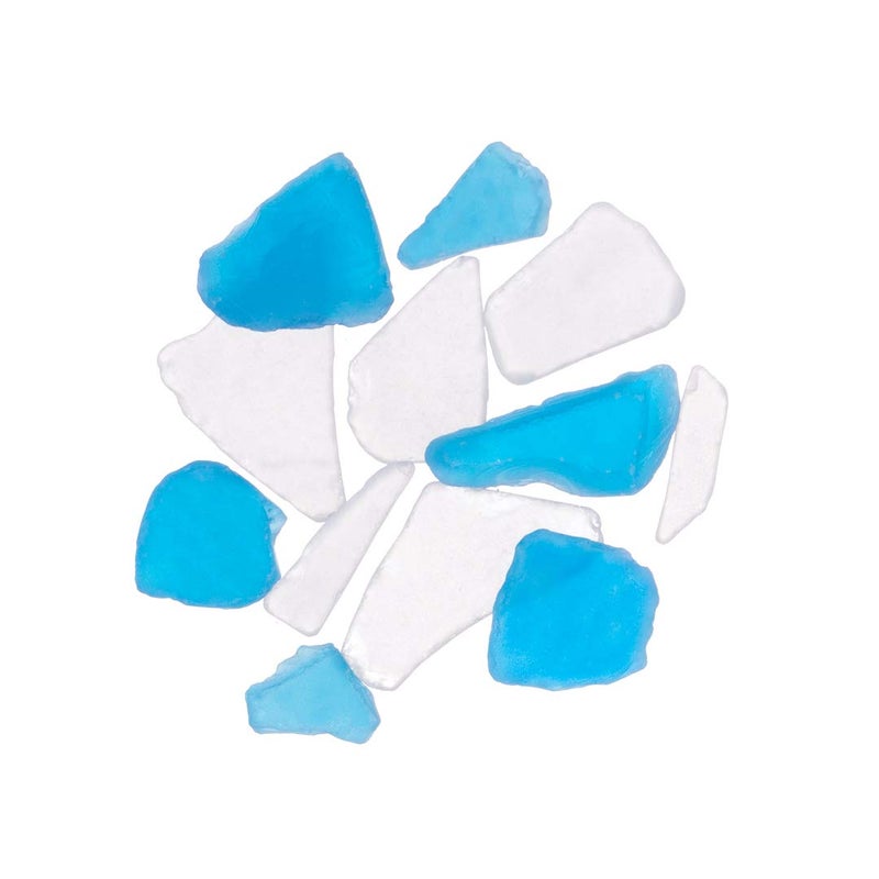 Nautical Crush Trading Sea Shells - White Real Mixed Beach Seashells (25 Pieces) with Starfish & Sea Glass - Shells for Crafts - Ocean Decor - Beach Party Decorations - Seashell Decor - Large Shells Crafts - Image 3