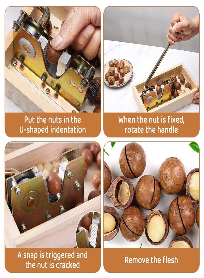 CLEABANKE Nut Crackers For All Nuts Set Manual nut cracker Nut Tongs Walnuts Open Tool Handle Manual Cracker with Wood Base - Image 5