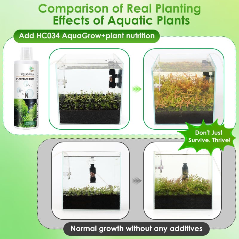 Hygger CO2 HC034 Aquarium Plant Liquid Fertilizer - Advanced Macro Nutrient Solution for Freshwater Planted Tanks, Promotes Root & Leaf Growth, 150ml/500ml/1000ml (150mL) - Image 5