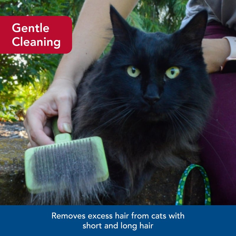 Coastal Pet Safari - Cat Soft Slicker Brush (6.5 x 3.5 Inches) - Image 3