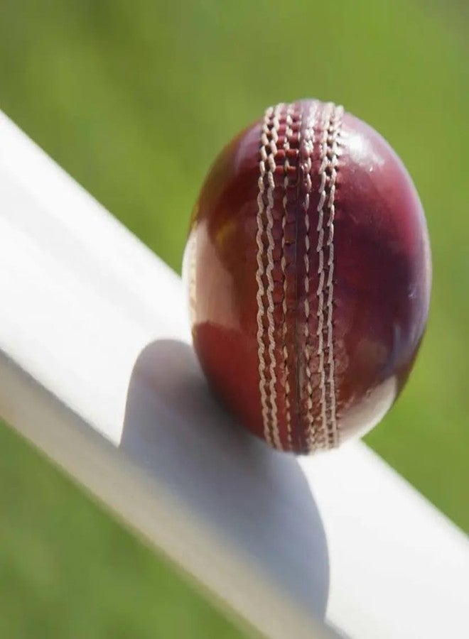 UchampS Red Leather Cricket Ball - 4-Piece Ball for 40-50 Overs, Hand-Stitched Craftsmanship for Professional Performance and Durability in Every Game Pack of (6) - Image 4