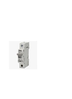 RR RR MCB Single Pole C Curve 10kA 32A - RR-MSP32 