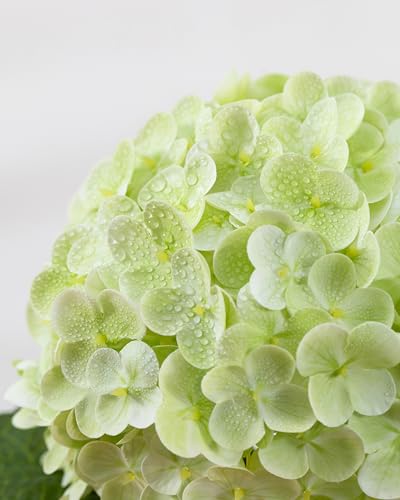 DuHouse 3Pcs Large Hydrangea Artificial Flowers20 inch Latex Real Touch Hydrangeas Lifelike Hydrangea Flower for Home Wedding Bouquets Centerpieces Party Living Room DecorationLight Green - Image 3