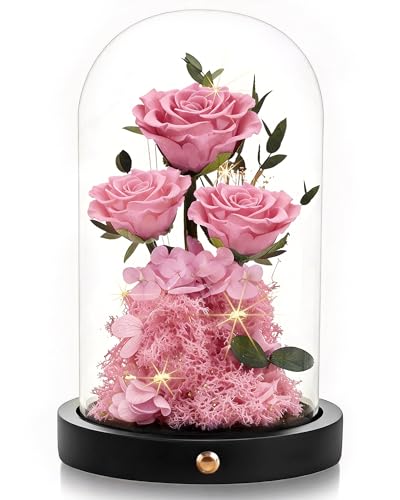 Agrul Mothers Day Flowers Roses Gifts for Mom,Forever Preserved Flower Rose in Glass Dome Fresh Flowers for Delivery Mothers Day Roses Gifts for Wife Women Mom Grandma from Daughter/Pink Rose - Image 1