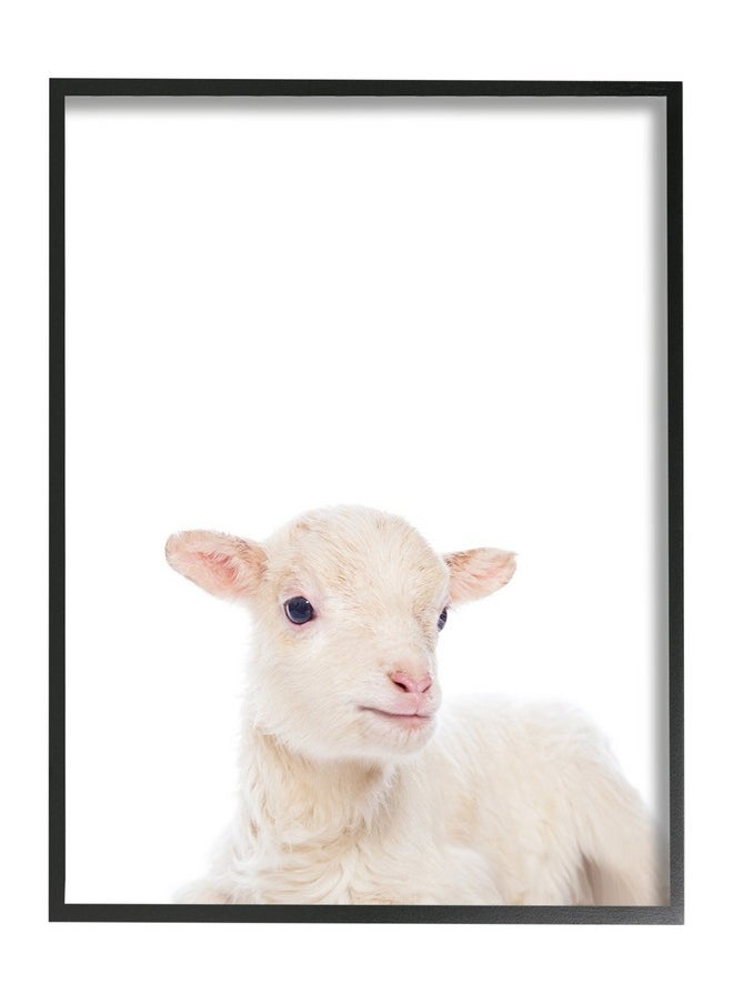 Stupell Industries - Stupell Home Décor Baby Animal Studio Photo Lamb Framed Giclee Texturized Art, 11 X 1.5 X 14, Proudly Made In Usa - Image 1