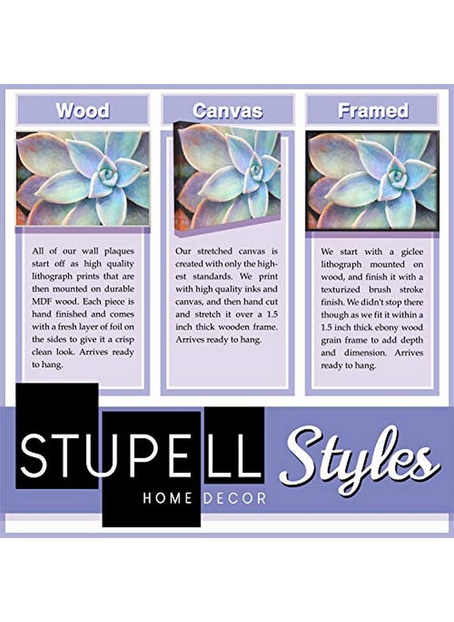 Stupell Industries - Stupell Home Décor Baby Animal Studio Photo Lamb Framed Giclee Texturized Art, 11 X 1.5 X 14, Proudly Made In Usa - Image 1