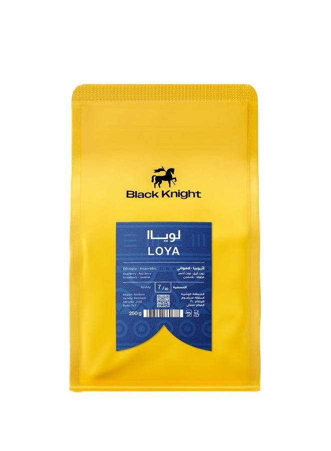 بلاك نايت بن قهوة لوياا-إثيوبيا 250 جرام للاسبرسو والفلتر حبوب قهوة محمصة غير مطحونة للقهوة المختصة