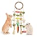 Jorewood Rabbit Chew Toys Bunny Cage Hanging Toy and Treats Rattan Ring with Snacks for Rodent Pets Teeth Healthy - Image 3