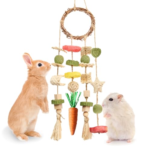 Jorewood Rabbit Chew Toys Bunny Cage Hanging Toy and Treats Rattan Ring with Snacks for Rodent Pets Teeth Healthy - Image 1
