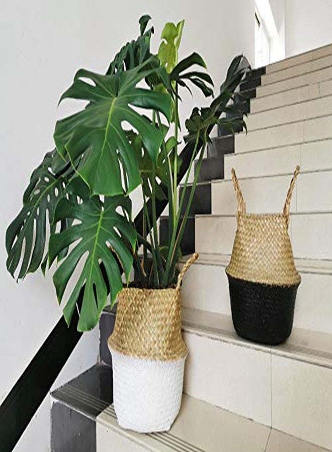 DOKOT Seagrass Belly Basket with Handles Natural Woven Planter Baskets for Indoor Plants Storage Laundry (Black 8 inch D x 9 inch H) - Image 4