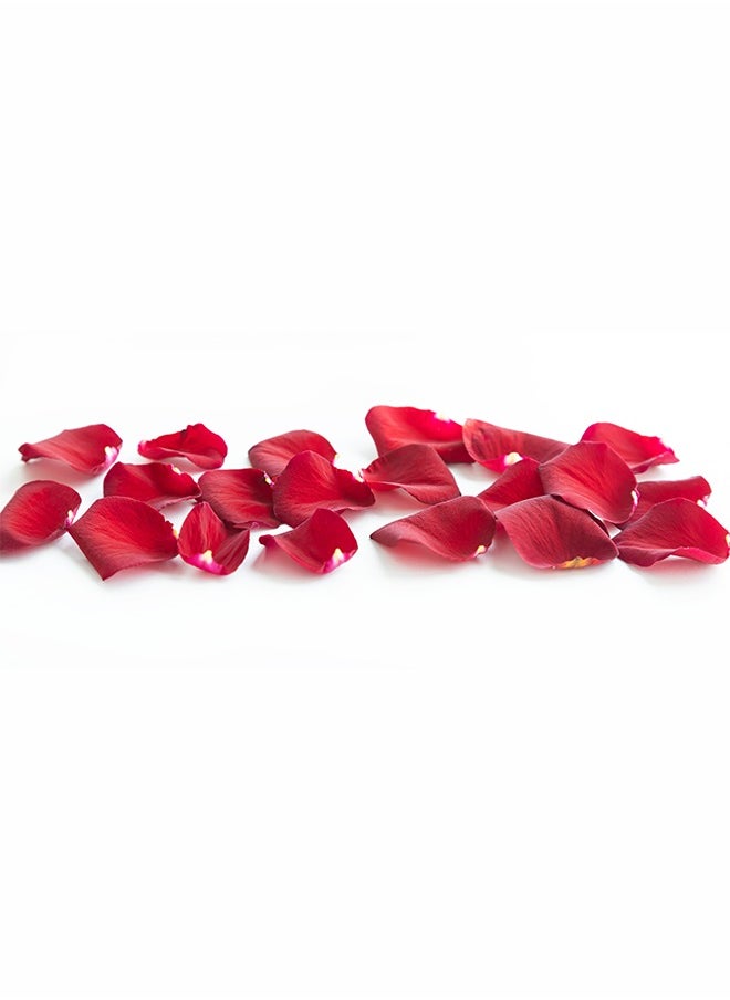 Share the Love - Artificial Rose Petals – 100 Pcs, Red, Perfect for Romantic Decor, Weddings, and Special Occasions - Image 1