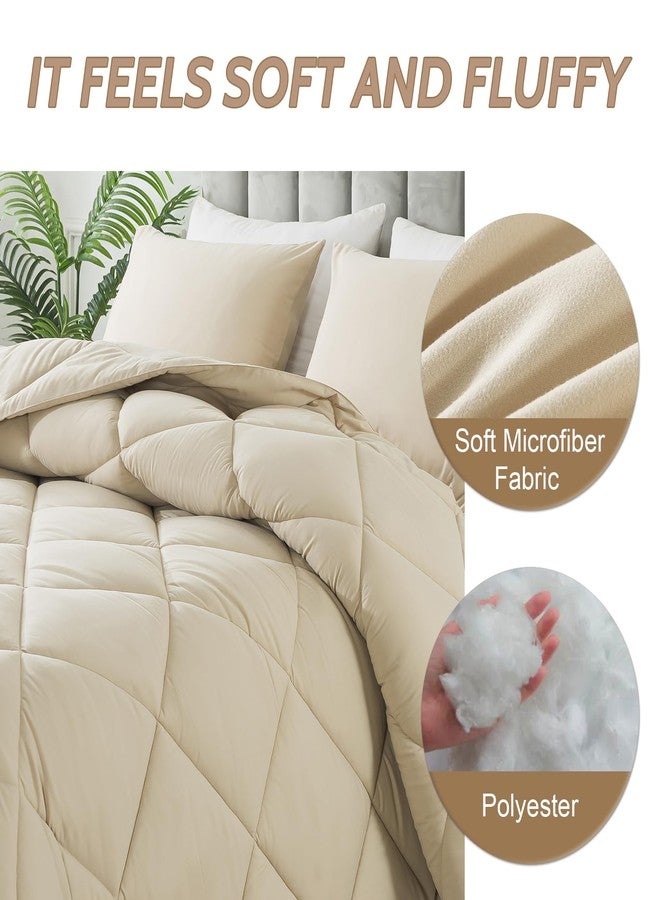 Decroom Lightweight Queen Comforter Set with 2 Pillow Sham - 3 Pieces Set - Quilted Down Alternative Comforter/Duvet Insert for All Season - Beige - Queen Size - Image 3