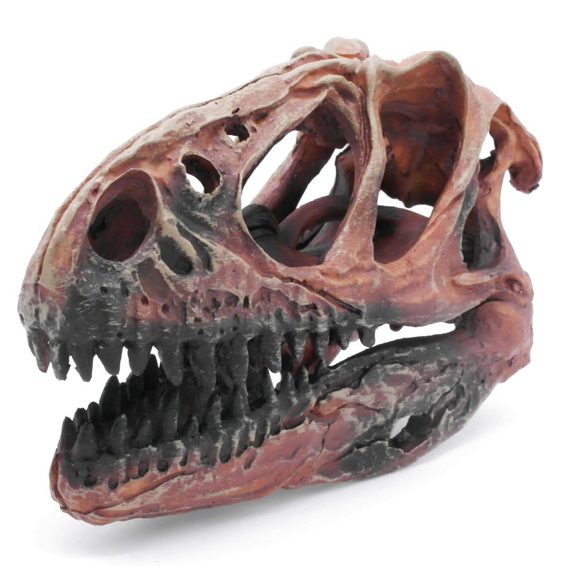 Kocris Casa Fish Hideout Aquarium DÃ©cor Decorations Dinosaur Skull Fish Tank Decor Cave Dinosaur Skull Betta Animal Halloween Large Tarantula Reptile Bones Snake for Terrarium Ornament - Image 1