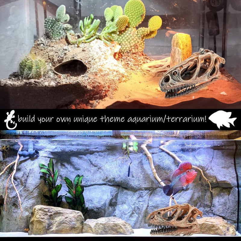 Kocris Casa Fish Hideout Aquarium DÃ©cor Decorations Dinosaur Skull Fish Tank Decor Cave Dinosaur Skull Betta Animal Halloween Large Tarantula Reptile Bones Snake for Terrarium Ornament - Image 5