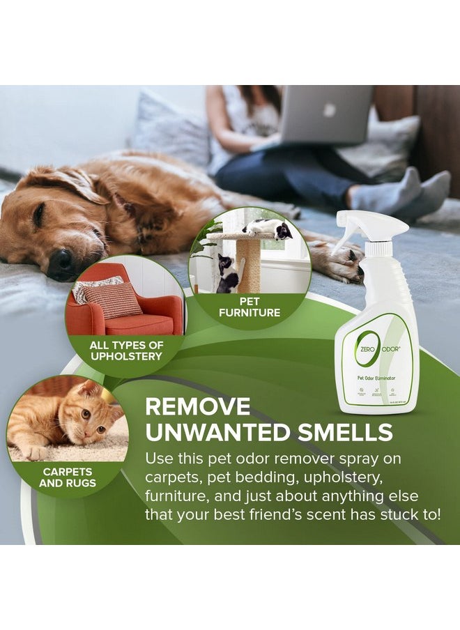 Zero Odor Zero Odor - Pet Eliminator Permanently Eliminate Air & Surface Odors - Patented Molecular Technology Best For Carpet, Furniture, Beds Smell Great Again (Over 400 Sprays Per Bottle)  - Image 3