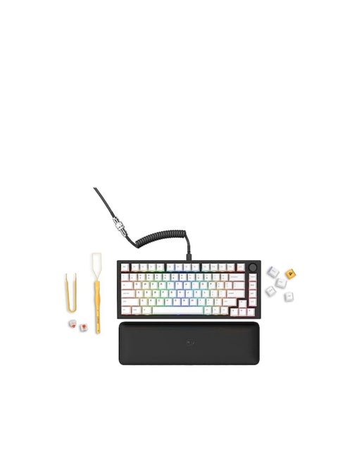 Glorious GMMK Pro Prebuilt Black-Glorious Modular Mechanical Keyboard Pro-ANSI/USA Layout Fox Linear Switch - GPBT White Keycaps (White) -High Profile Gasket Mounted Prebuilt Premium RGB 75% Keyboard