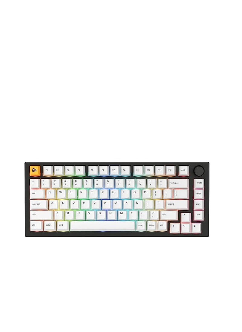 Glorious GMMK Pro Prebuilt Black-Glorious Modular Mechanical Keyboard Pro-ANSI/USA Layout Fox Linear Switch - GPBT White Keycaps (White) -High Profile Gasket Mounted Prebuilt Premium RGB 75% Keyboard