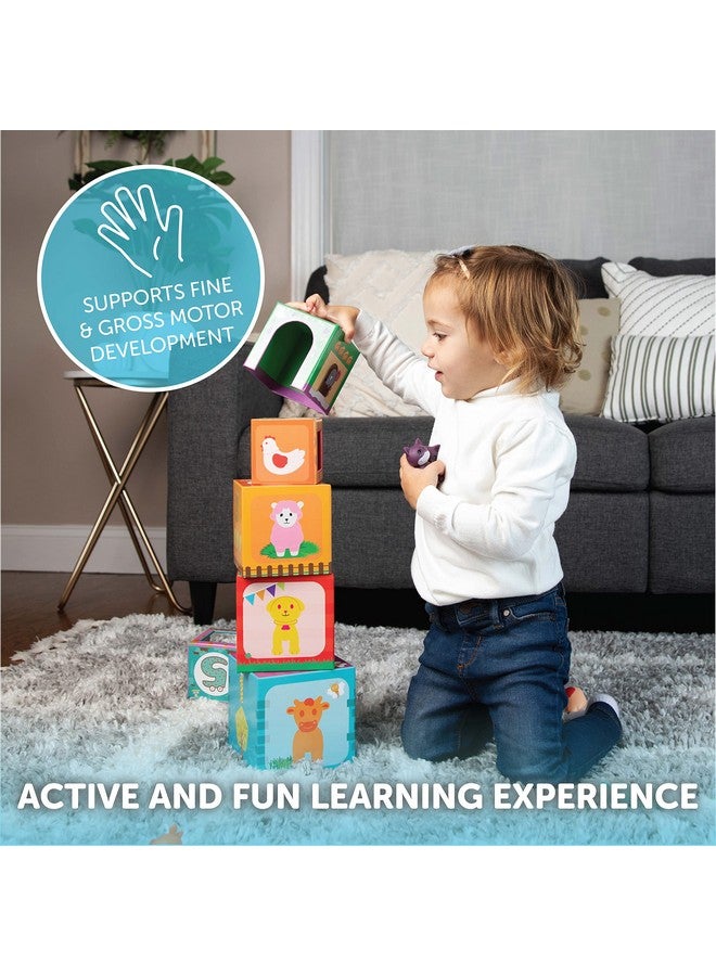Play Brainy Farm Animal Sorting And Stacking Toys For Toddlers Ages 1-3 - 6 Sets Of Animal Stacking Blocks Toddler Toys For Girls And Boys For Preschool Concepts & Early Learning Baby Gifts  - Image 2