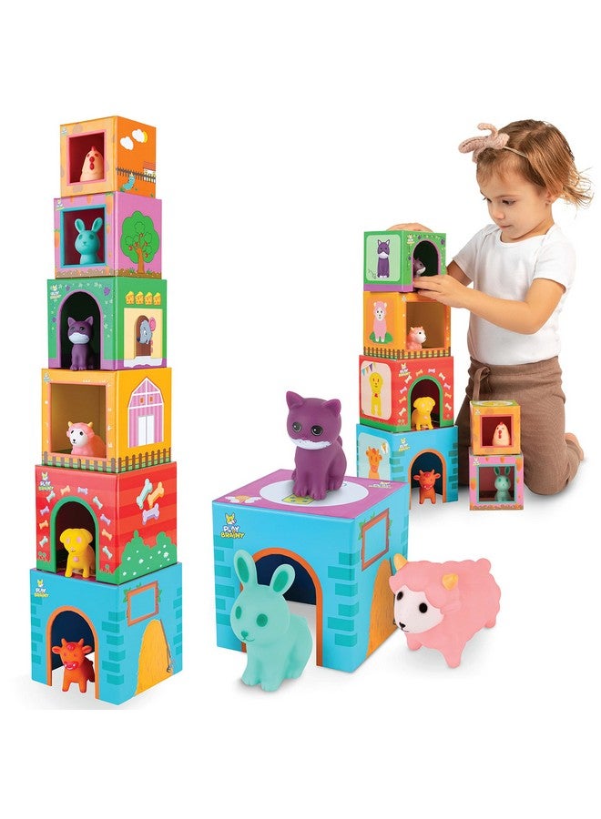 Play Brainy Farm Animal Sorting And Stacking Toys For Toddlers Ages 1-3 - 6 Sets Of Animal Stacking Blocks Toddler Toys For Girls And Boys For Preschool Concepts & Early Learning Baby Gifts  - Image 1