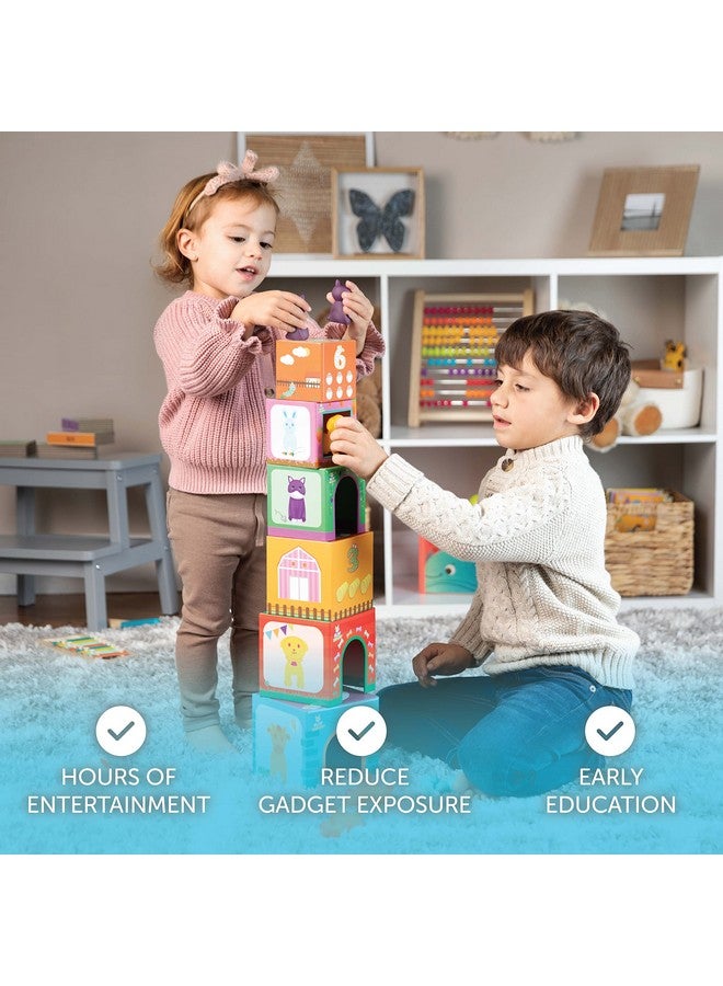 Play Brainy Farm Animal Sorting And Stacking Toys For Toddlers Ages 1-3 - 6 Sets Of Animal Stacking Blocks Toddler Toys For Girls And Boys For Preschool Concepts & Early Learning Baby Gifts  - Image 5
