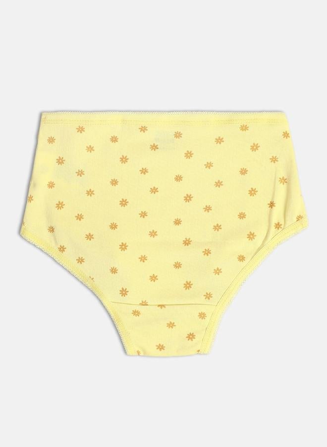 MINIKLUB Pack of 2 - Girls Cotton Knitted Briefs - Image 5