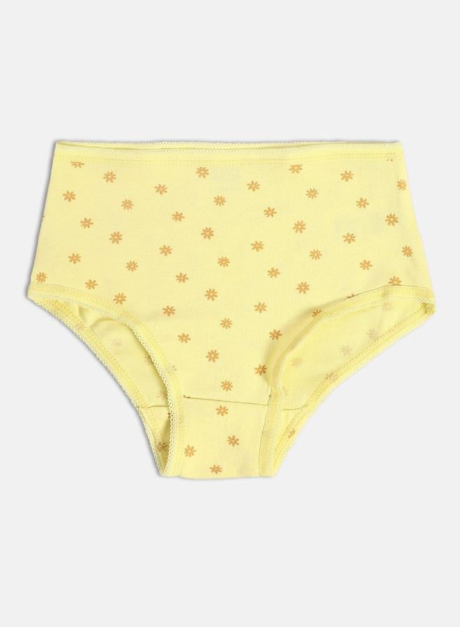 MINIKLUB Pack of 2 - Girls Cotton Knitted Briefs - Image 4