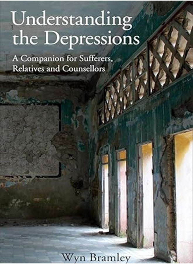 Understanding the Depressions: A Companion for Sufferers, Relatives and Counsellors Paperback 